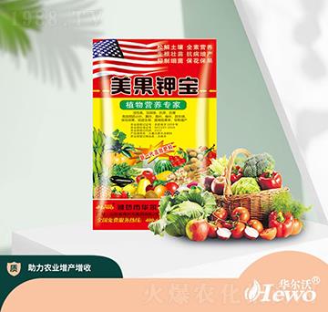 ����⛌�-�A����