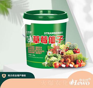 ��ݮ����-�A����