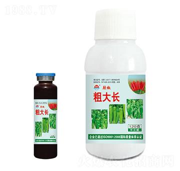 ˮܷ-ִL-r(nng)挚
