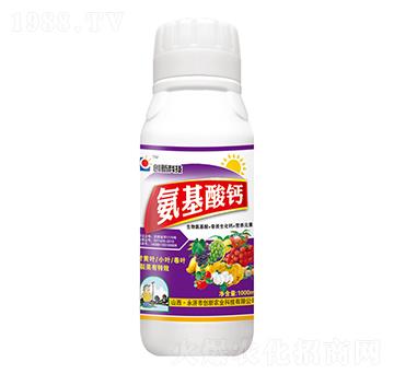 1000ml}-(chung)¿Ƽ