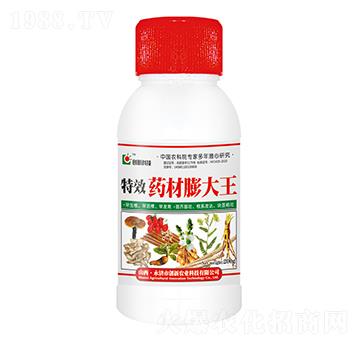 200gˎ-(chung)¿Ƽ