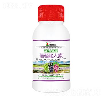 100ml-(chung)¿Ƽ
