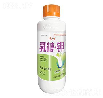 1000g���ǡ���~��