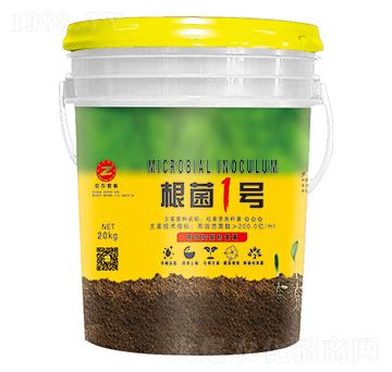 �ݲ�ѿ�ߗU��-����1̖(h��o)