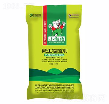 微生物菌劑-小懶豬-住商國(guó)際