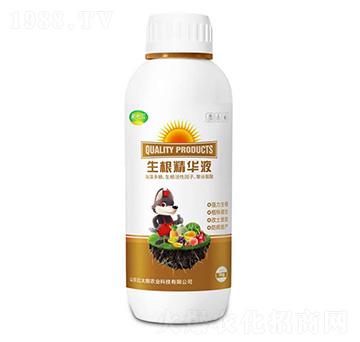 生根精華液-乾十三-紅太朗農(nóng)業(yè)