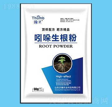 300g-l(wi)-rI(y)