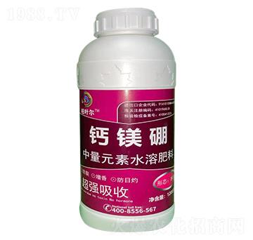 �}�V��-���~��