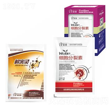 �⺦�`-嫰�����