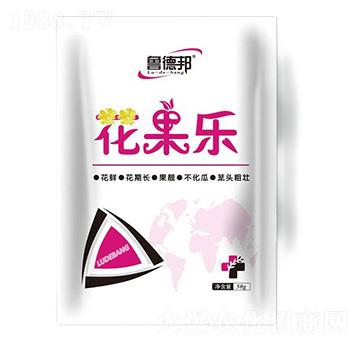 花果樂(lè)-魯?shù)掳? />
</div>
</div>
<style type=