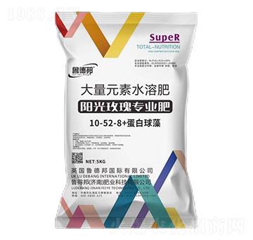 陽(yáng)光玫瑰專用大量元素水溶肥料10-52-8+蛋白球藻-魯?shù)掳? />
</div>
</div>
<style type=
