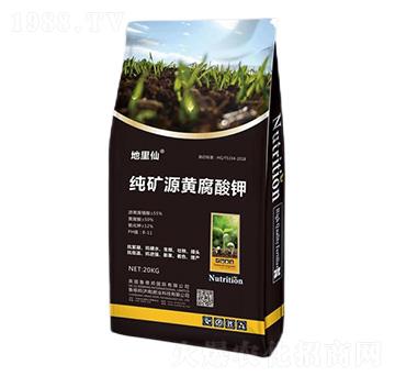 ���VԴ�S�����-������-��?sh��)°? width=