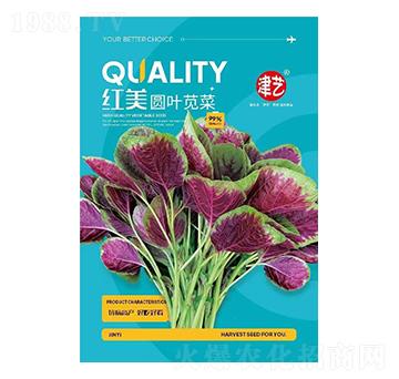 �{�˷N��-�t���A�~�{��-���S�r�I(y��)