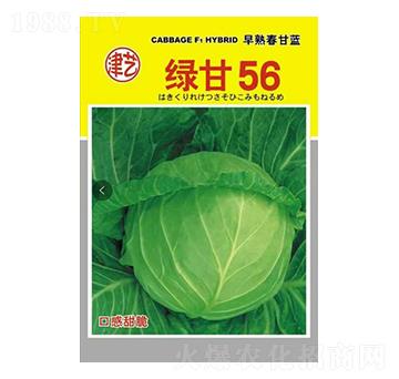 ���{�N��-�G��56-���S�r�I(y��)