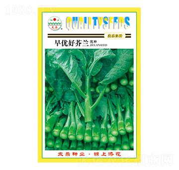 mN-烞(yu)ým-̫(l)NI(y)