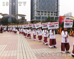 �r(n��ng)���W(w��ng)��(zh��n)ʿ�����p�ļ�������oÿ��(g��)����(hu��)��