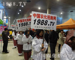 1988.TV������(zh��n)���������o��ֹ