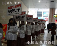 �r���W������Ő�ƴ�ŕ��A