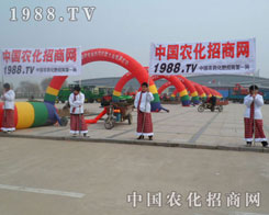 �r(n��ng)���W(w��ng)��Ŭ��ƴ���ľ����ڕ�(hu��)��(ch��ng)�����w�F(xi��n)