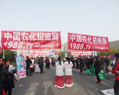 2013ֲչЧǵf(shu)