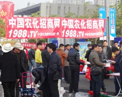 2013ֲ(hu)r(nng)Ч(qing)