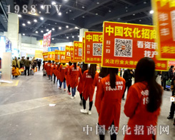 �r���ľ�Ӣ���û��ļ����cȼ2015��18�ú����rˎ���Ě��