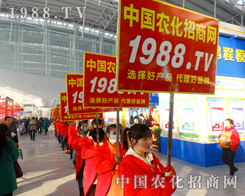 ��21�ù����I�N�Ӳ��[�����r(n��ng)���W(w��ng)������龫��ٱ�