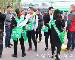 Ҫ����������1988.TV�ذ�����2019��26�Ý���ֲ���p������