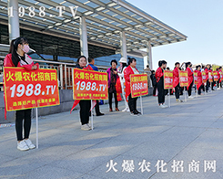 1988.TV2019LֲeOչF(xin)ڻ˵ļ