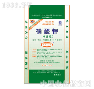 �R������-�����