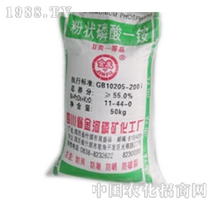 ����׵V-����һ�@