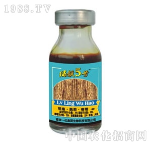 Ͼһ-GI(lng)5̖(ho)