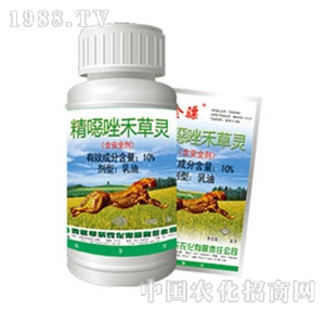 �S���r��-���f��̲��`