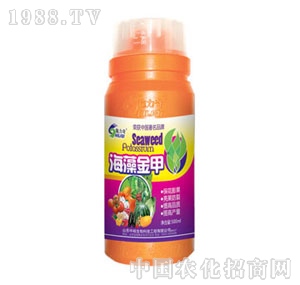 ��ԣ����-������