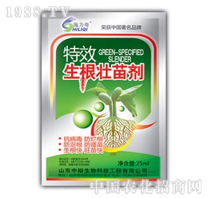 ��ԣ����-�������焩