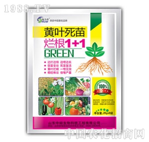 ��ԣ����-�S�~����