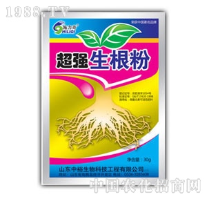 ��ԣ����-������