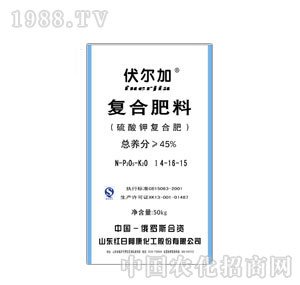 �t�հ���������14-16-15�����������