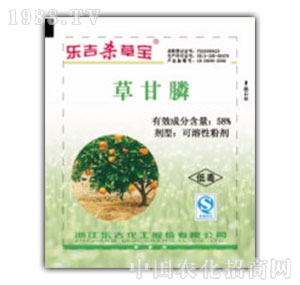 �����r��-�������݌�