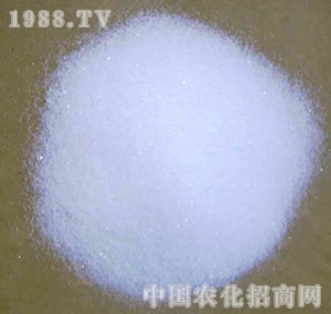 �}�����F-�Ȼ��