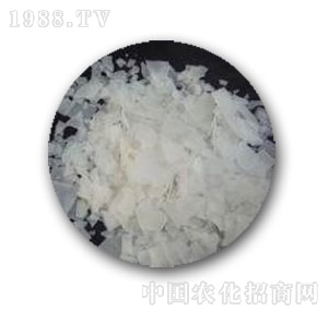 �к����W-99�x��ĤƬ