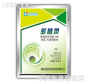 ̩�Z-����`