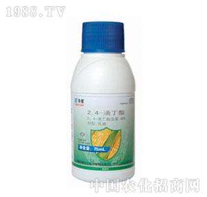 A-80%24ζEC