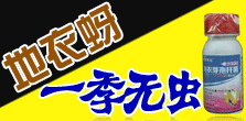 rQ޹˾