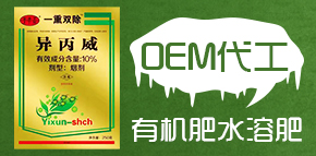 ������̩��Ƽ��l(f��)չ���޹�˾