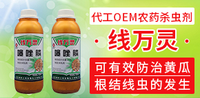 ɽ�|�����������ﻯ�����޹�˾